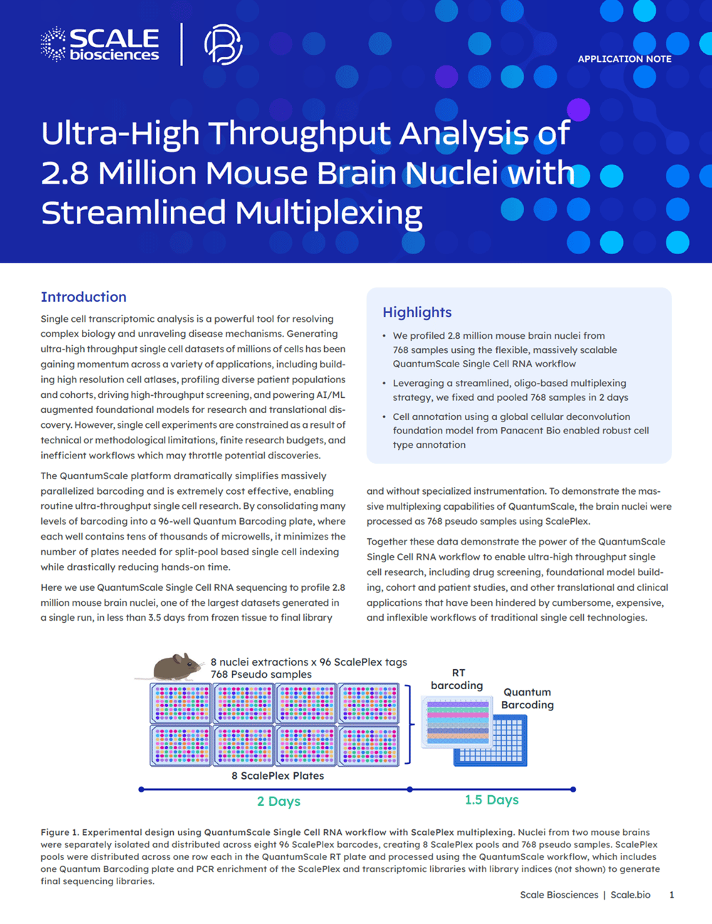 ScaleBio QuantumScale Mouse Brain Application Note Thumbnail Image ScaleBio QuantumScale Mouse Brain Application Note Thumbnail Image