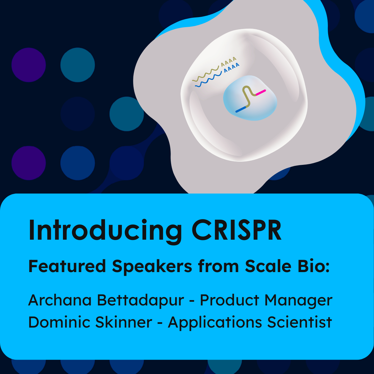 NPI - CRISPR LP graphic 1200x1200 (1)