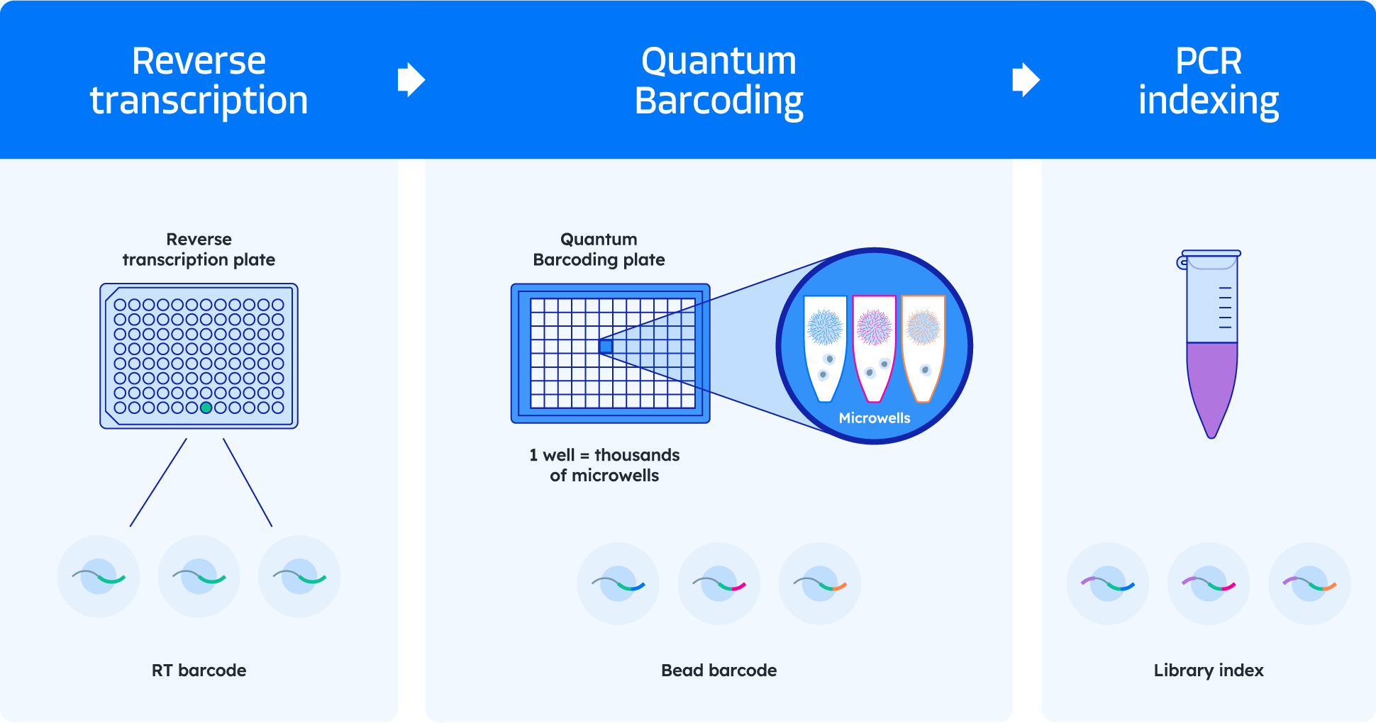 Quantum-barcoding-tech-update Quantum-barcoding-tech-update